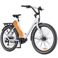 ENGWE P275 StepThrough Electric Bike - Puissance 250W | Batterie 19.2Ah | Vitesse 15.5mph | Autonomie 162mi