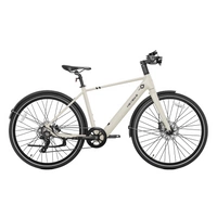 Heybike EC1 Electric Bike | Urban Commuter Solution | 250W (350W Peak) Power | 15.5mph Speed | 10Ah Battery | 62mi Range | High Frame Design | Modern City Transport