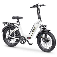 Hidoes BF1 Vélo électrique pliable - Puissance 750W | Batterie 13Ah | Vitesse 25mph | Autonomie 41mi