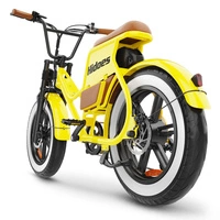 Hidoes C8 Electric Bike - 800W Power | 13Ah Battery | 25mph Speed | 44mi Range