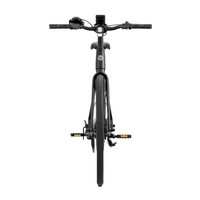 Heybike EC1 Electric Bike | Urban Commuter Solution | 250W (350W Peak) Power | 15.5mph Speed | 10Ah Battery | 62mi Range | High Frame Design | Modern City Transport