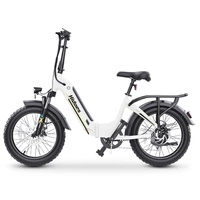Hidoes BF1 Vélo électrique pliable - Puissance 750W | Batterie 13Ah | Vitesse 25mph | Autonomie 41mi