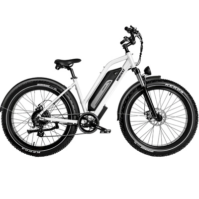 Himiway D3 Cruiser Step-Thru Electric Bike - Puissance 250W | Batterie 15Ah | Vitesse 15.5mph | Autonomie 60mi
