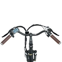 isinwheel Swift Conducteur U2 Vélo électrique - Puissance 500W | Batterie 13Ah | Vitesse 20mph | Autonomie 47mi