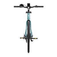 Heybike EC1 Electric Bike | Urban Commuter Solution | 250W (350W Peak) Power | 15.5mph Speed | 10Ah Battery | 62mi Range | High Frame Design | Modern City Transport