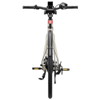 Heybike EC1 Electric Bike | Urban Commuter Solution | 250W (350W Peak) Power | 15.5mph Speed | 10Ah Battery | 62mi Range | High Frame Design | Modern City Transport