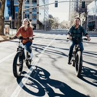 Vélo électrique Himiway D5 Zebra High-Step - Puissance 250W | Batterie 20Ah | Vitesse 15.5mph | Autonomie 80mi