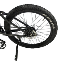 Allegro MTB Electric Bike - 1000W Power | 18Ah Battery | 30mph Speed | 53mi Range