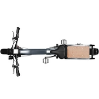 Himiway Big Dog Electric Bike - Puissance 250W | Batterie 20Ah | Vitesse 15.5mph | Autonomie 80mi