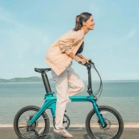 Fiido X 2025 Vélo électrique pliable - Puissance 250W | Batterie 11.6Ah | Vitesse 15.5mph | Autonomie 81mi | Barre à main relevable