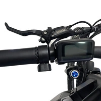 Allegro MTB Electric Bike - 1000W Power | 18Ah Battery | 30mph Speed | 53mi Range