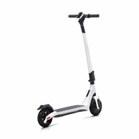 Lamborghini AL1 Electric Trottinette | Luxury Performance | 350W (550W Peak) Power | 15.5mph Speed | 7.8Ah Battery | 19mi Range | Italian Design | Premium Urban Transport