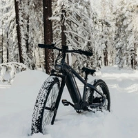 Vélo électrique Himiway D5 Zebra High-Step - Puissance 250W | Batterie 20Ah | Vitesse 15.5mph | Autonomie 80mi