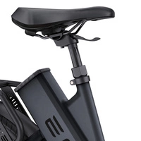 ENGWE P275 StepThrough Electric Bike - Puissance 250W | Batterie 19.2Ah | Vitesse 15.5mph | Autonomie 162mi