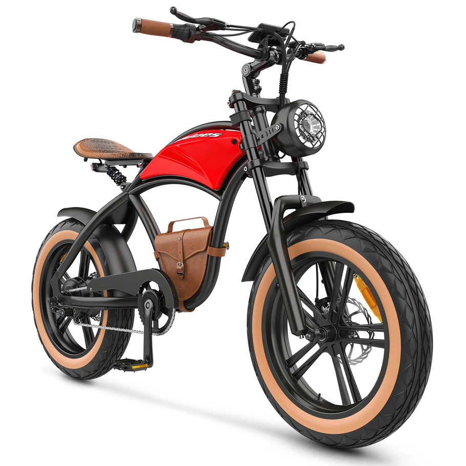 Hidoes B10 Electric Bike - 1000W Power | 13Ah Battery | 15.5mph Speed | 41mi Range