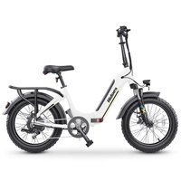 Hidoes BF1 Vélo électrique pliable - Puissance 750W | Batterie 13Ah | Vitesse 25mph | Autonomie 41mi