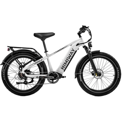 Vélo électrique Himiway D5 Zebra High-Step - Puissance 250W | Batterie 20Ah | Vitesse 15.5mph | Autonomie 80mi