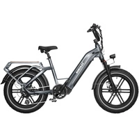 Himiway Big Dog Electric Bike - Puissance 250W | Batterie 20Ah | Vitesse 15.5mph | Autonomie 80mi