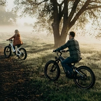 Vélo électrique Himiway D5 Zebra High-Step - Puissance 250W | Batterie 20Ah | Vitesse 15.5mph | Autonomie 80mi