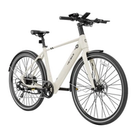 Heybike EC1 Electric Bike | Urban Commuter Solution | 250W (350W Peak) Power | 15.5mph Speed | 10Ah Battery | 62mi Range | High Frame Design | Modern City Transport