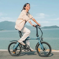Vélo électrique pliable Fiido D11 - Puissance 250W | Batterie 11.6Ah | Vitesse 15.5mph | Autonomie 62mi