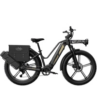 Fiido Titan Electric Bike - Puissance 750W | Batterie 14.5Ah | Vitesse 28mph | Autonomie 84mi