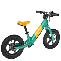Fiido K1 Electric Balance Bike - 80W Power | 5.8Ah Battery | 7.5mph Speed | 12mi Range