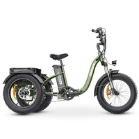 Hidoes ET1 Tricycle électrique - Puissance 750W | Batterie 20Ah | Vitesse 25mph | Autonomie 59mi